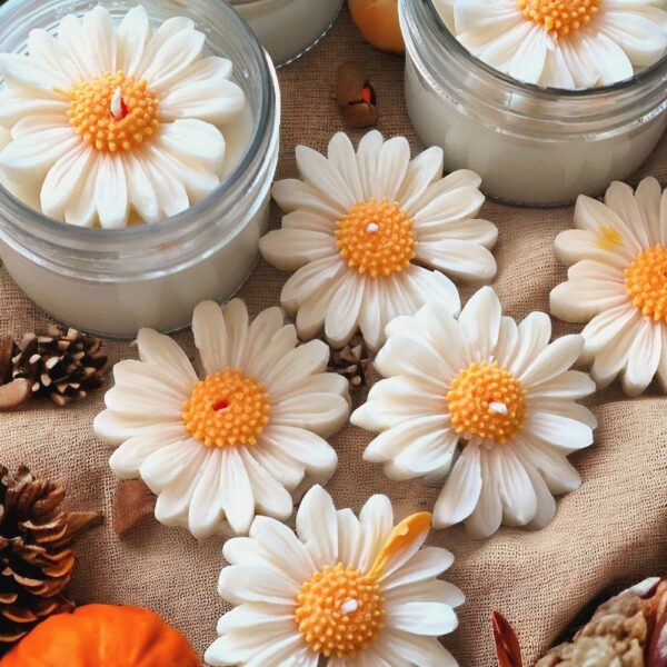 2 Pack Daisy Flower Candles