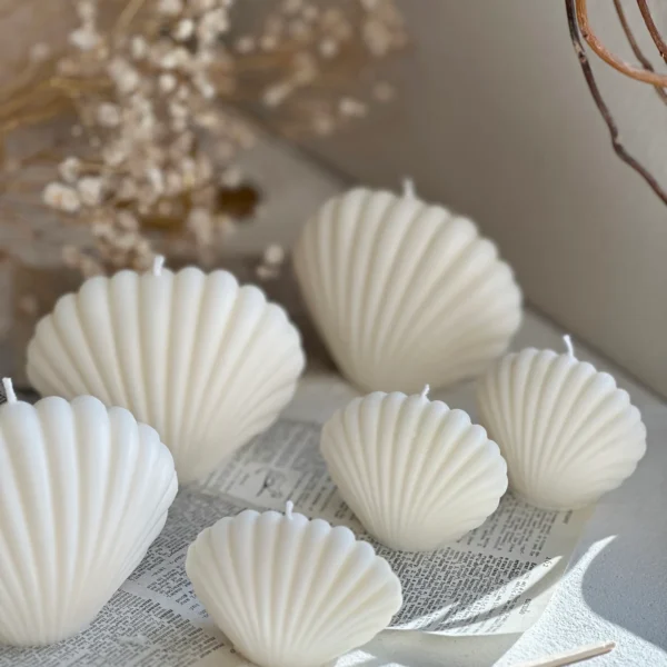 Large Small 2PCs Ocean Shells Candles