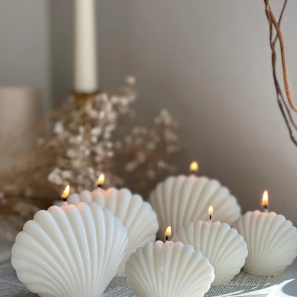 Large Small 2PCs Ocean Shells Candles