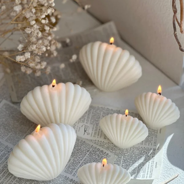 Large Small 2PCs Ocean Shells Candles