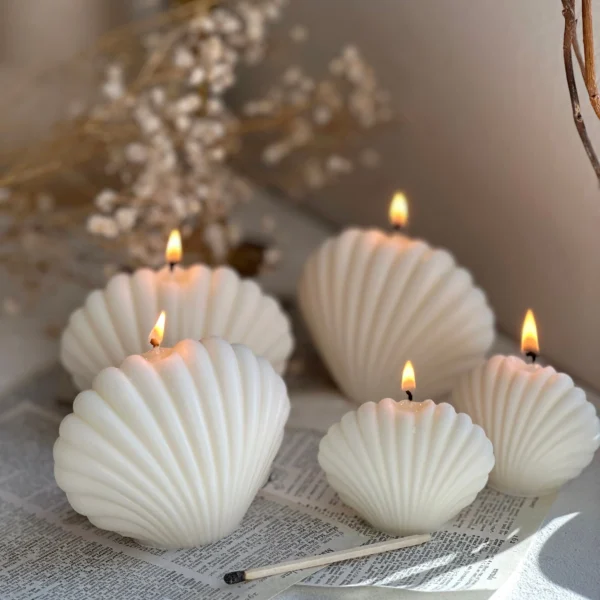 Large Small 2PCs Ocean Shells Candles