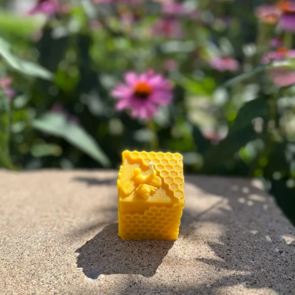 Honeycomb Long Cube Candles
