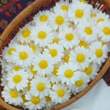 2 Pack Daisy Flower Candles