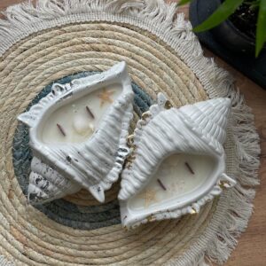 Jesmonite Conch Shell Dish Candle