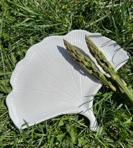 Concrete Ginkgo Leaf Tray