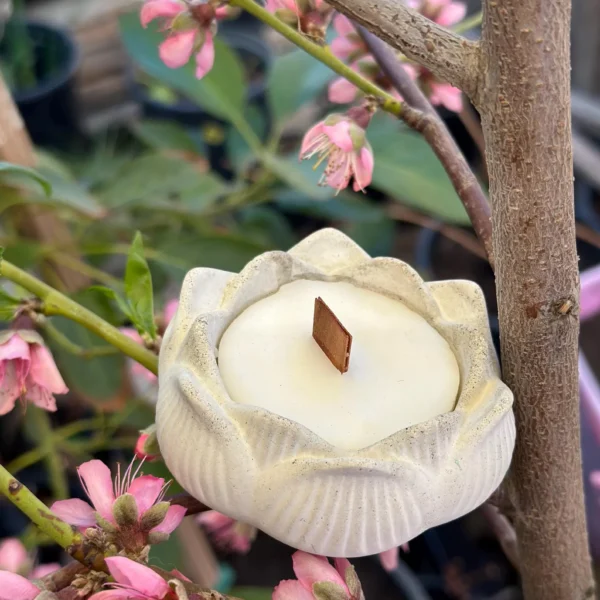 Concrete Lotus Candle