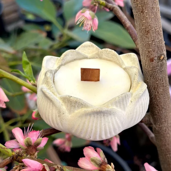Concrete Lotus Candle