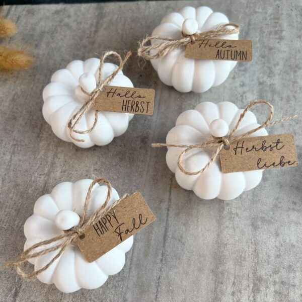 2Pcs Mini Pumpkin Set