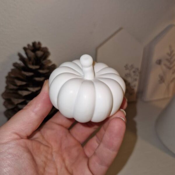 2Pcs Mini Pumpkin Set