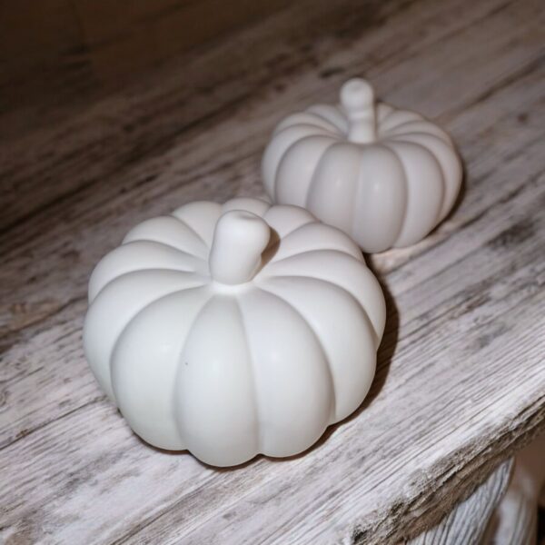 2Pcs Mini Pumpkin Set