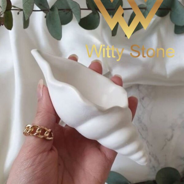 2Pcs seashell jewelry storage box