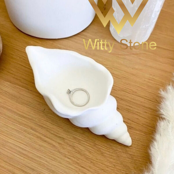 2Pcs seashell jewelry storage box